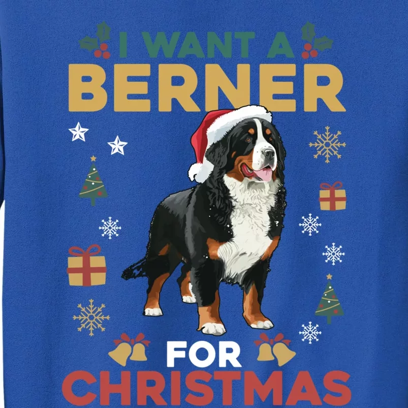 I Want A Berner For Christmas Cute Dog Lovers Family Pajama Gift Sweatshirt