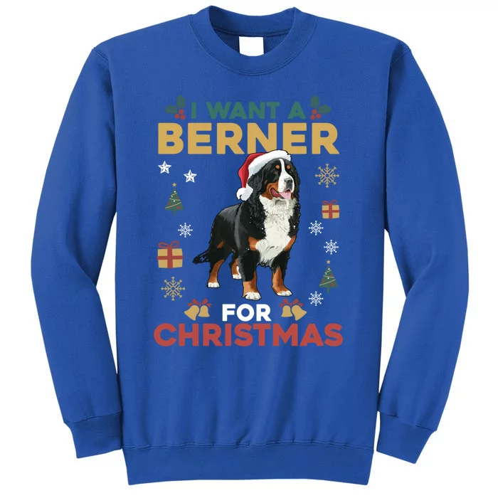 I Want A Berner For Christmas Cute Dog Lovers Family Pajama Gift Sweatshirt