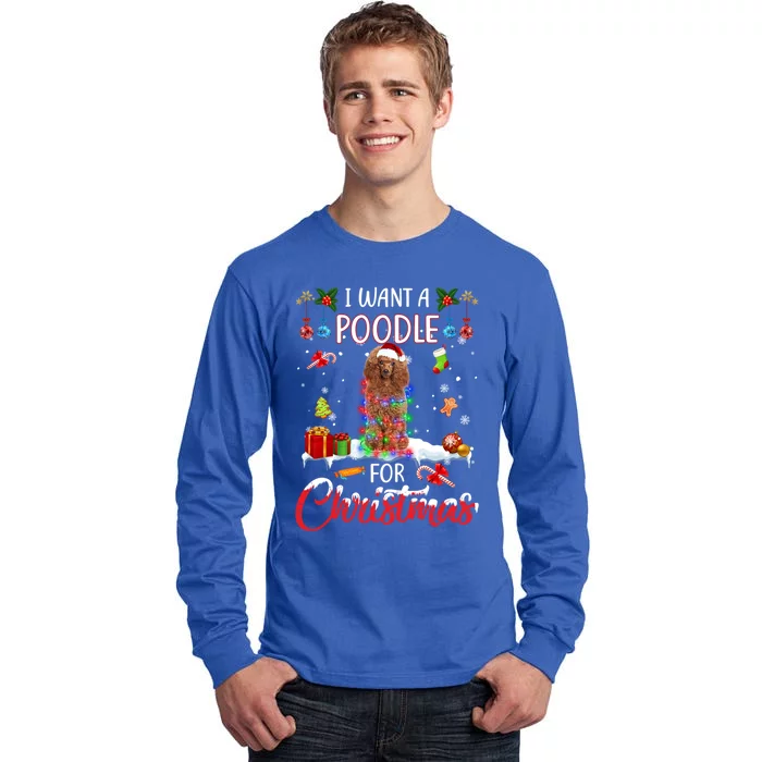 I Want A Poodle For Christmas Xmas Lights Santa Poodle Cool Gift Tall Long Sleeve T-Shirt