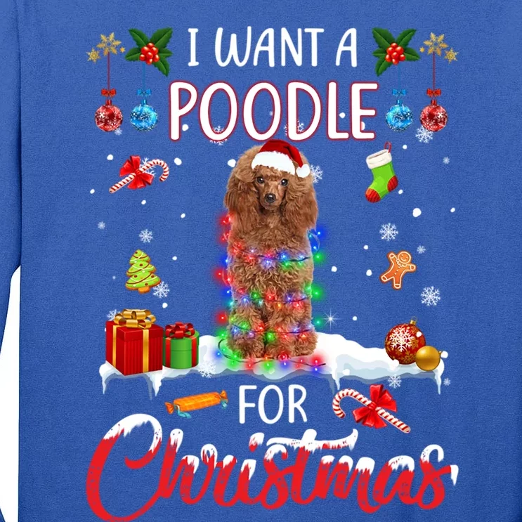 I Want A Poodle For Christmas Xmas Lights Santa Poodle Cool Gift Tall Long Sleeve T-Shirt