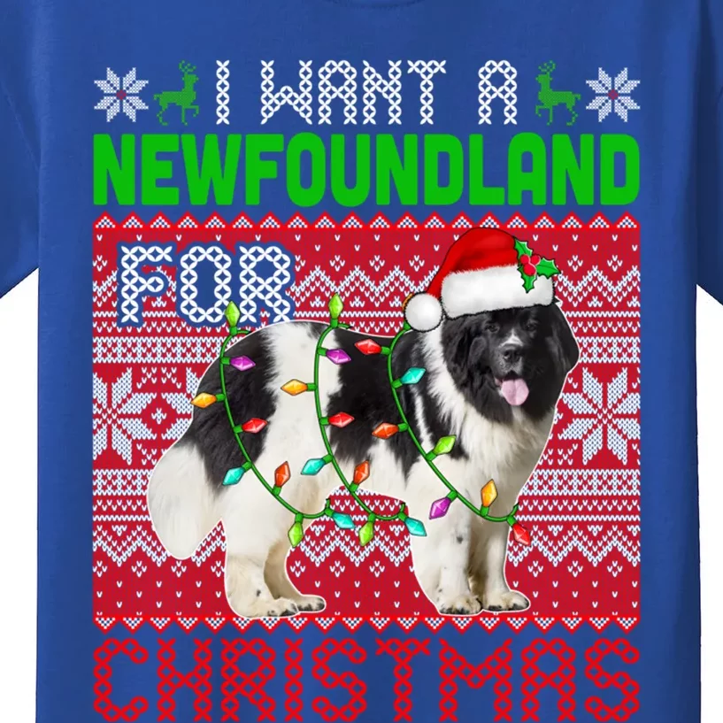 I Want A Newfoundland For Christmas Santa Dog Lover Owner Gift Kids T-Shirt