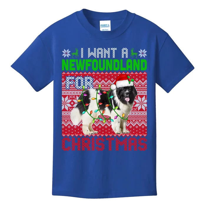 I Want A Newfoundland For Christmas Santa Dog Lover Owner Gift Kids T-Shirt