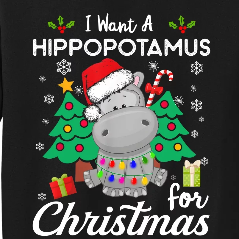 I Want A Hippopotamus For Christmas Cute Gift Xmas Costume Tall Sweatshirt