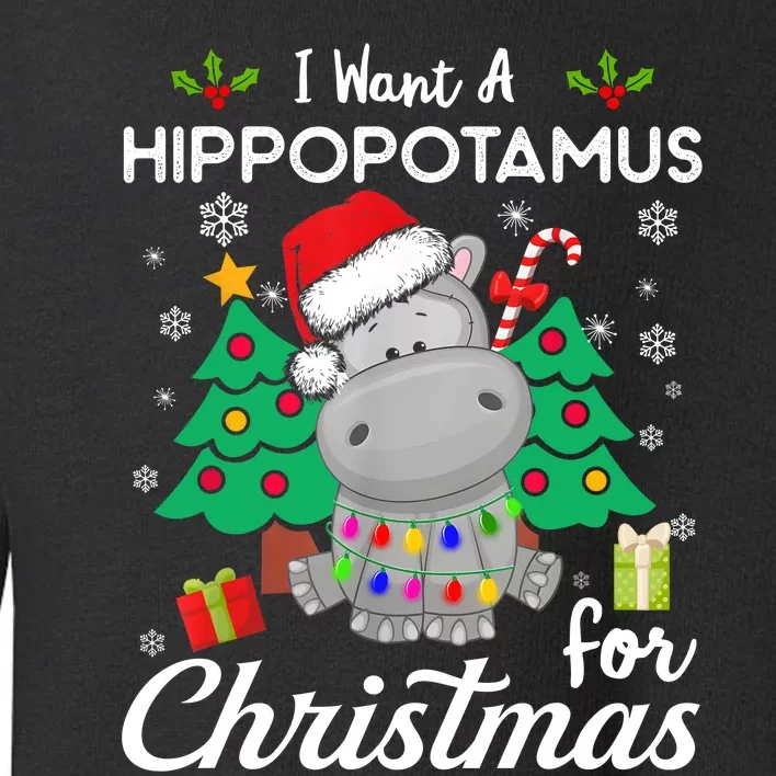 I Want A Hippopotamus For Christmas Cute Gift Xmas Costume Toddler Sweatshirt