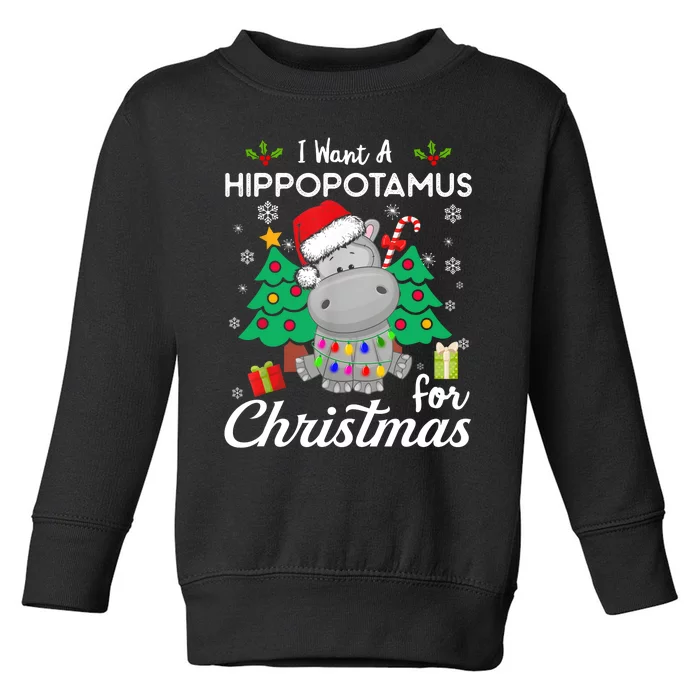 I Want A Hippopotamus For Christmas Cute Gift Xmas Costume Toddler Sweatshirt