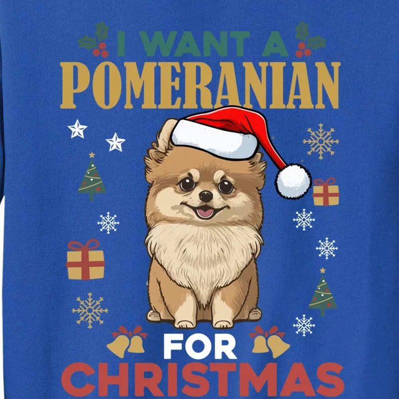 I Want A Pomeranian For Christmas Cute Dog Lover Xmas Pajama Gift Tall Sweatshirt