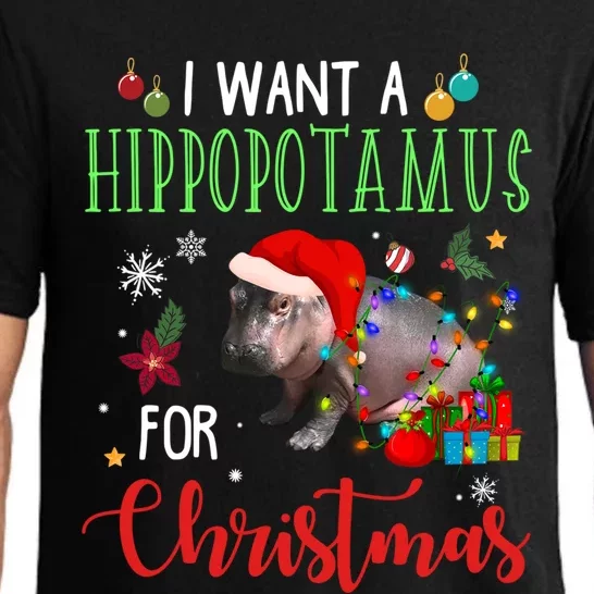 I Want A Hippopotamus For Christmas Hippo Fiona Gift Pajama Set