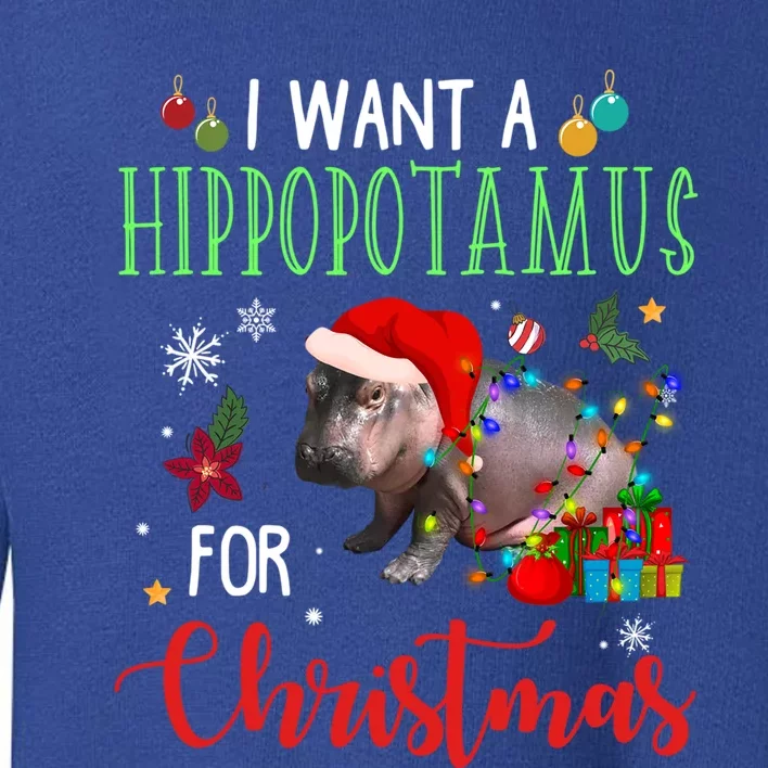 I Want A Hippopotamus For Christmas Hippo Fiona Gift Toddler Sweatshirt