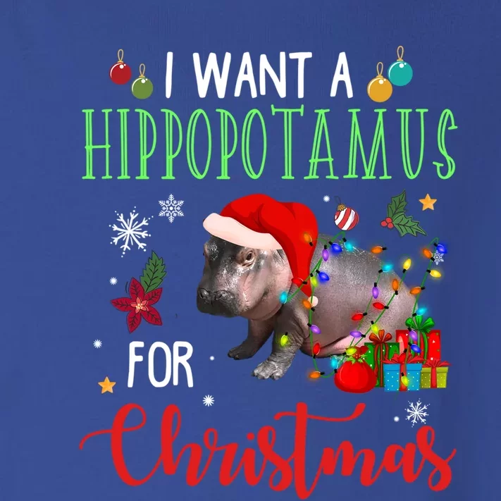 I Want A Hippopotamus For Christmas Hippo Fiona Gift Toddler Long Sleeve Shirt