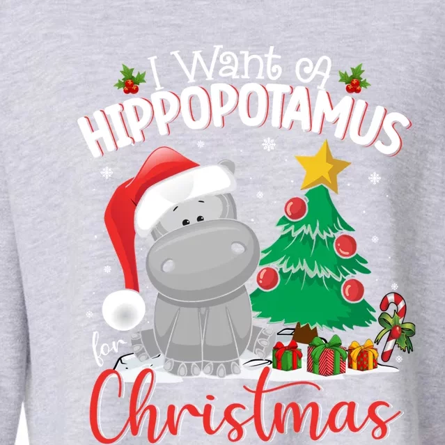 I Want A Hippopotamus For Christmas Xmas Hippo Gift Cropped Pullover Crew