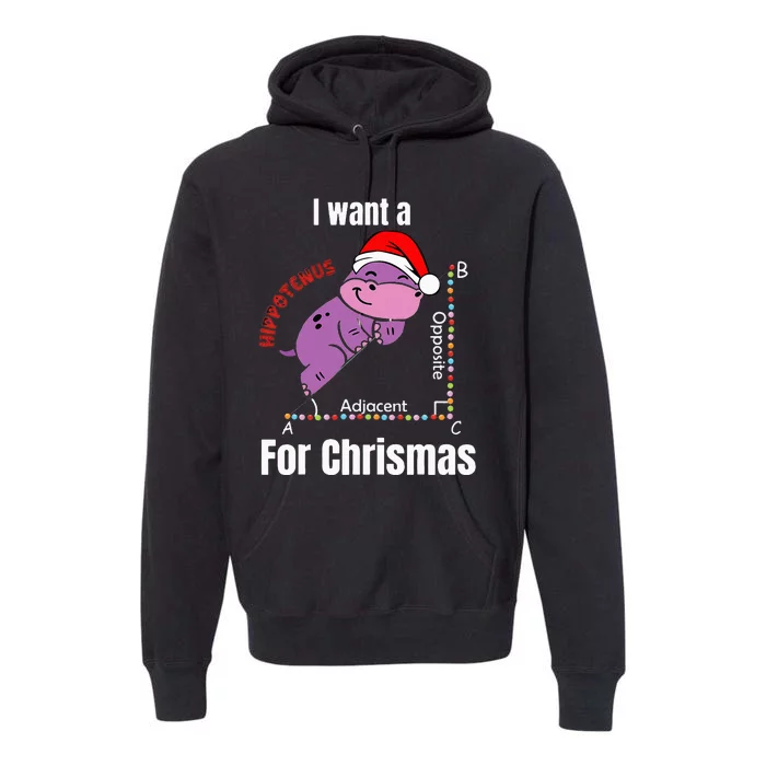 I Want A Hippotenuse For Christmas Teacher Math Cute Hippo Premium Hoodie