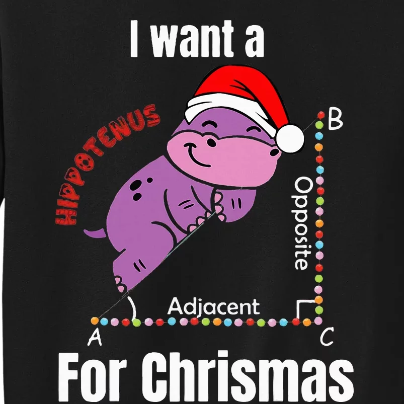 I Want A Hippotenuse For Christmas Teacher Math Cute Hippo Tall Sweatshirt