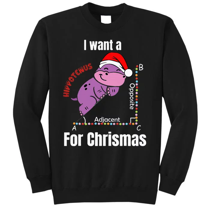 I Want A Hippotenuse For Christmas Teacher Math Cute Hippo Tall Sweatshirt