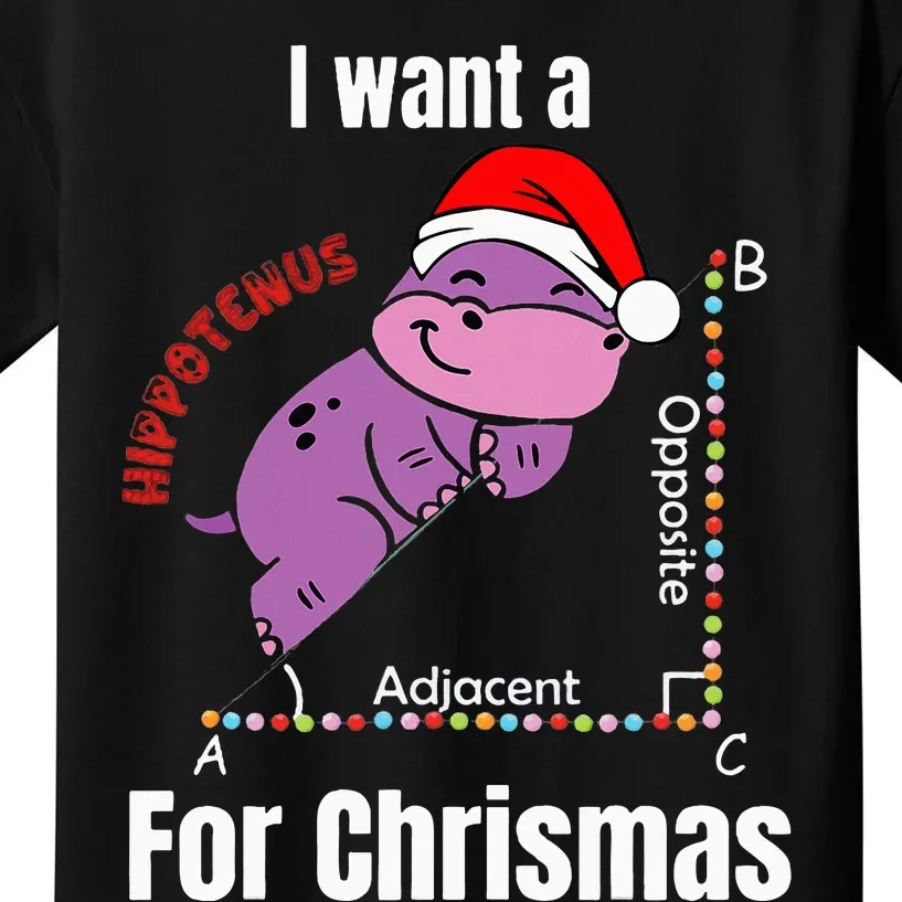 I Want A Hippotenuse For Christmas Teacher Math Cute Hippo Kids T-Shirt