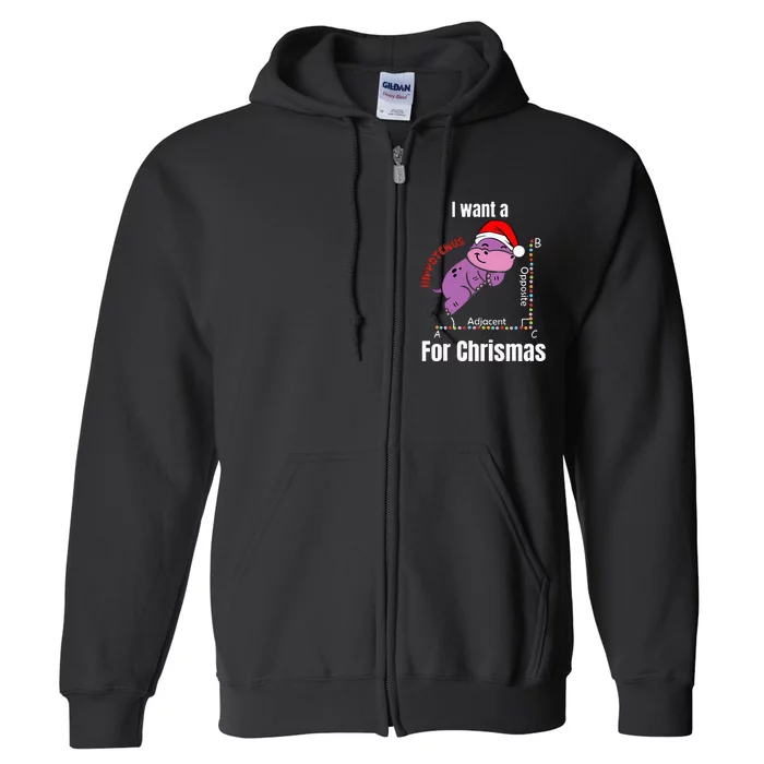 I Want A Hippotenuse For Christmas Teacher Math Cute Hippo Full Zip Hoodie