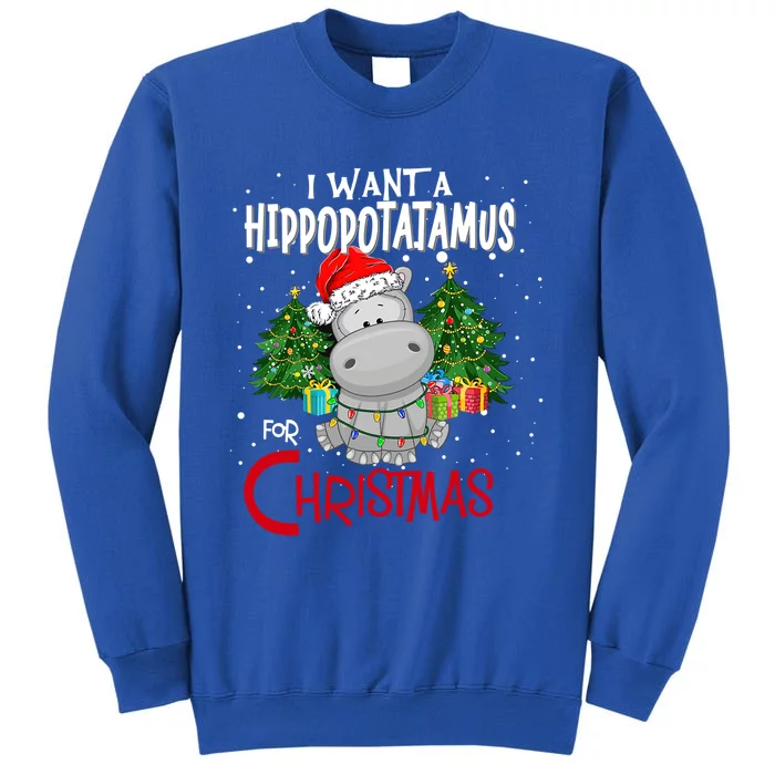 I Want A Hippopotamus For Christmas Santa Hat Fun Xmas Hippo Gift Sweatshirt