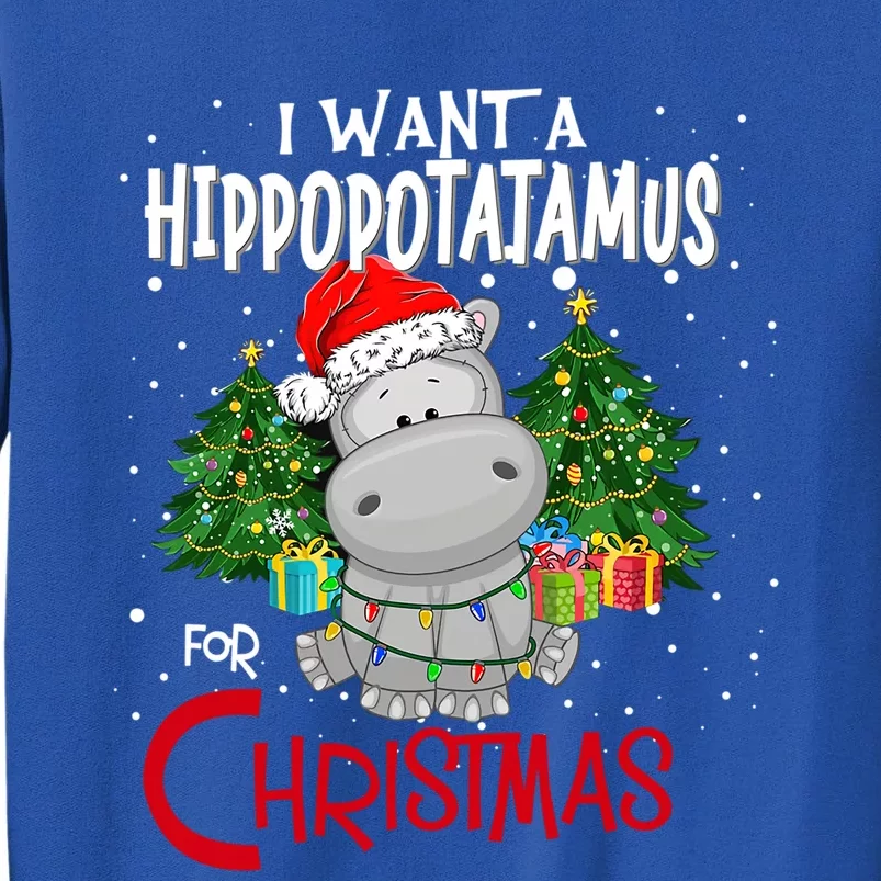 I Want A Hippopotamus For Christmas Santa Hat Fun Xmas Hippo Gift Tall Sweatshirt