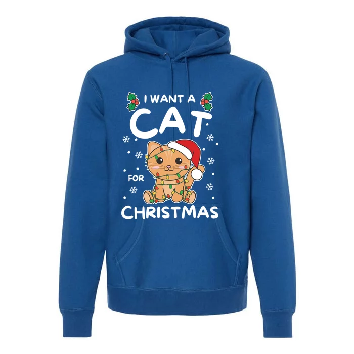 I Want A Cat For Christmas Cute Cats Gift Premium Hoodie