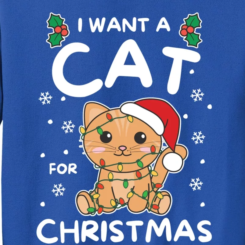 I Want A Cat For Christmas Cute Cats Gift Tall Sweatshirt