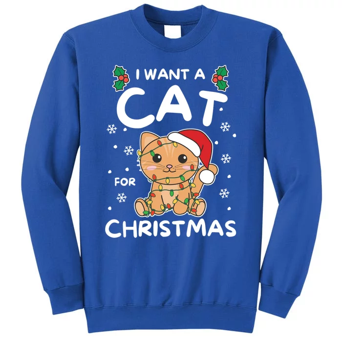 I Want A Cat For Christmas Cute Cats Gift Tall Sweatshirt