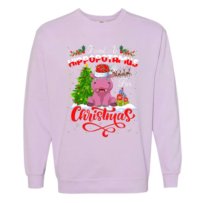 I Want A Hippopotamus For Christmas Xmas Hippo Gift Garment-Dyed Sweatshirt