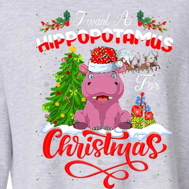 I Want A Hippopotamus For Christmas Xmas Hippo Gift Cropped Pullover Crew