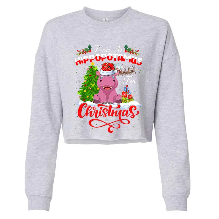 I Want A Hippopotamus For Christmas Xmas Hippo Gift Cropped Pullover Crew