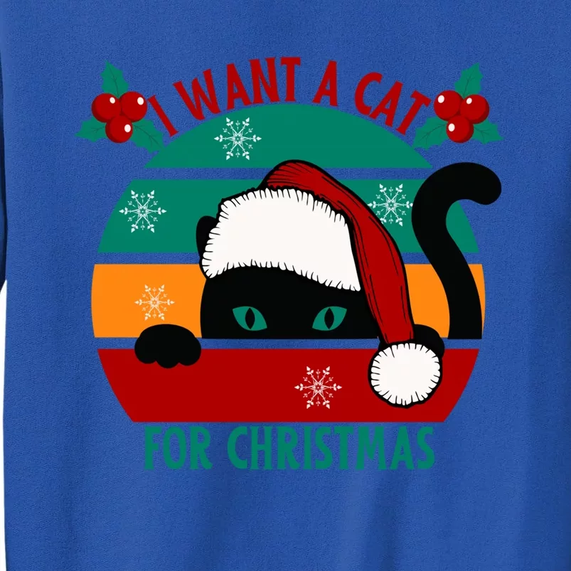 I Want A Cat For Christmas Xmas Cat Gift Tall Sweatshirt