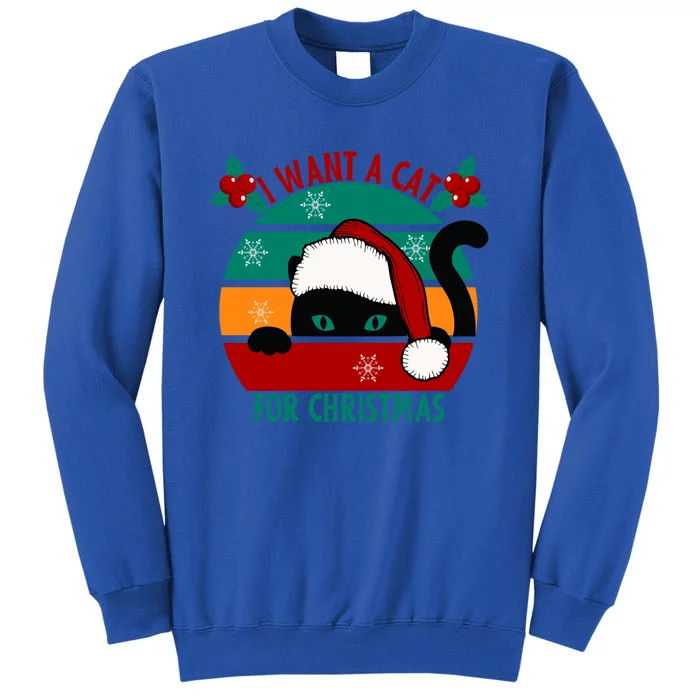 I Want A Cat For Christmas Xmas Cat Gift Tall Sweatshirt