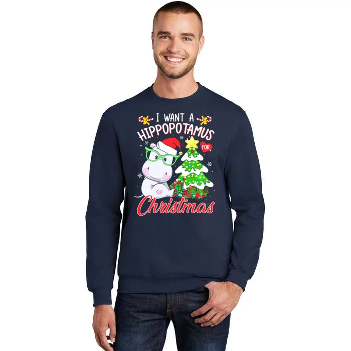 I Want A Hippopotamus For Christmas Xmas Hippo Tall Sweatshirt