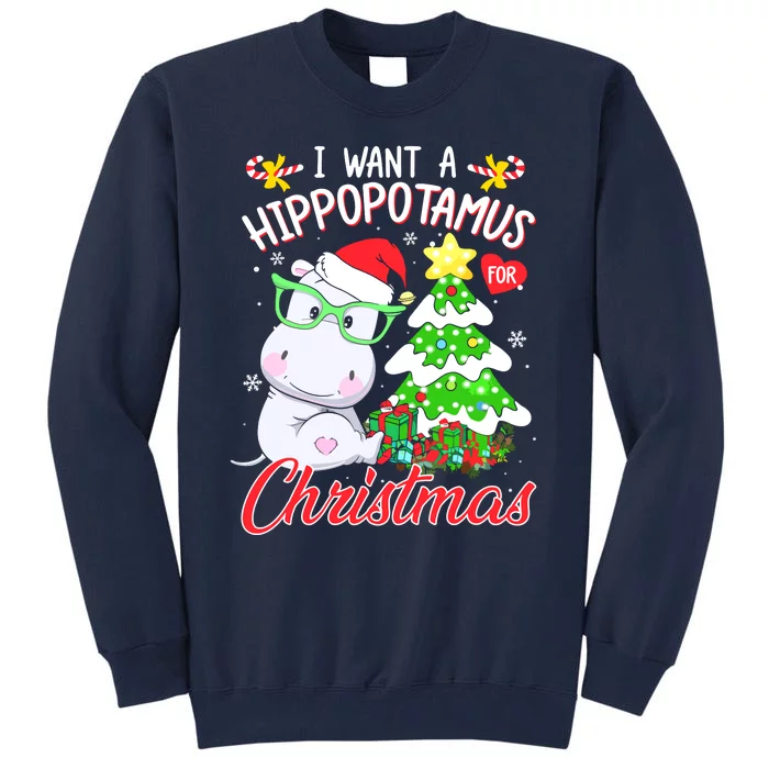 I Want A Hippopotamus For Christmas Xmas Hippo Tall Sweatshirt