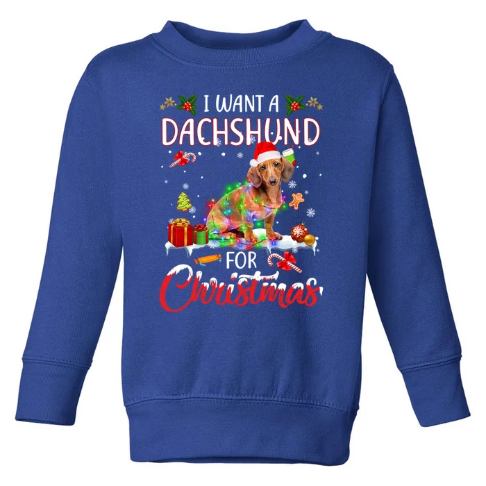 I Want A Dachshund For Christmas Xmas Lights Santa Dachshund Gift Toddler Sweatshirt