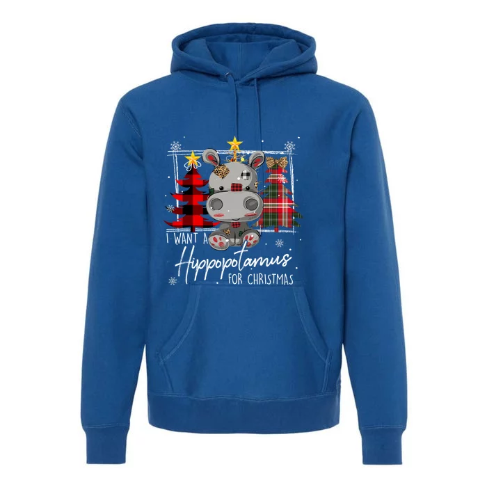 I Want A Hippopotamus For Christmas Cute Hippo Xmas Funny Gift Premium Hoodie