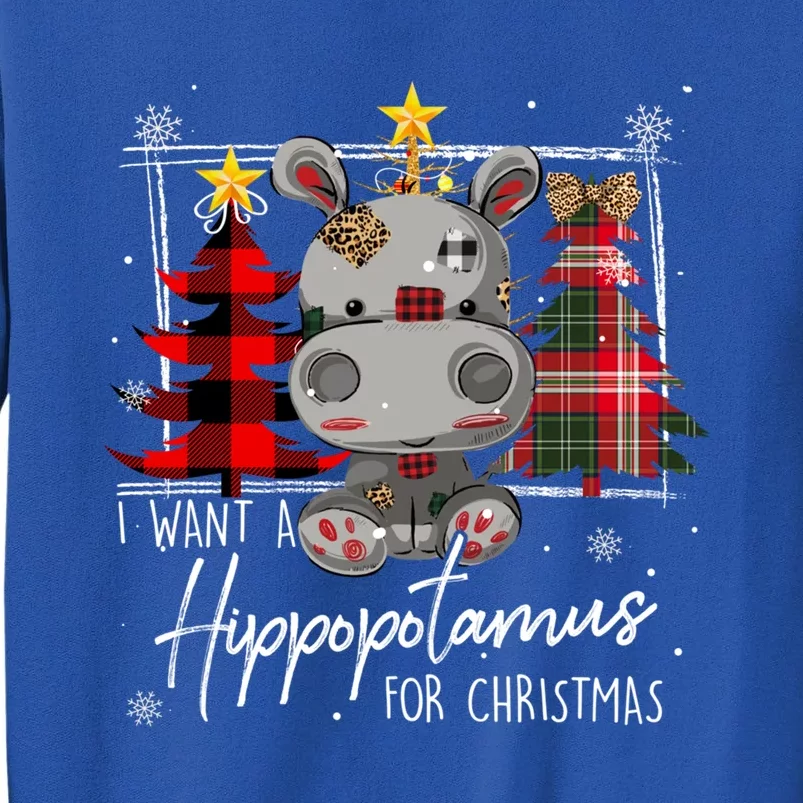 I Want A Hippopotamus For Christmas Cute Hippo Xmas Funny Gift Tall Sweatshirt