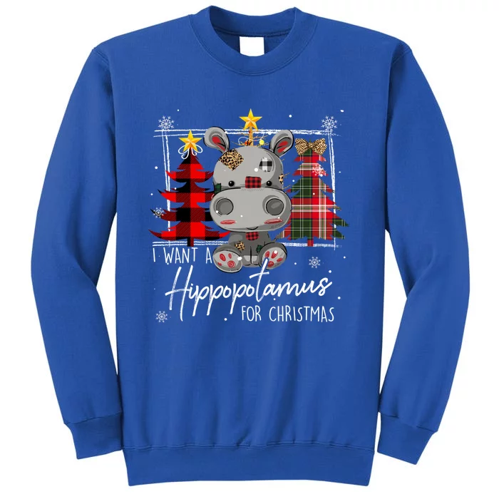 I Want A Hippopotamus For Christmas Cute Hippo Xmas Funny Gift Tall Sweatshirt