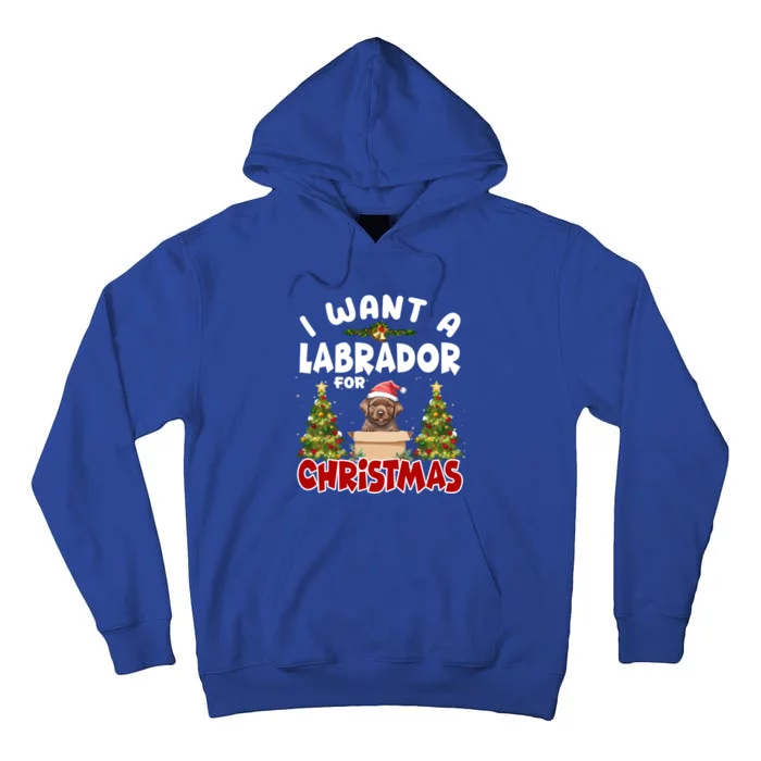 I Want A Labrador For Christmas Labs Mom Dog Lover Christmas Gift Tall Hoodie