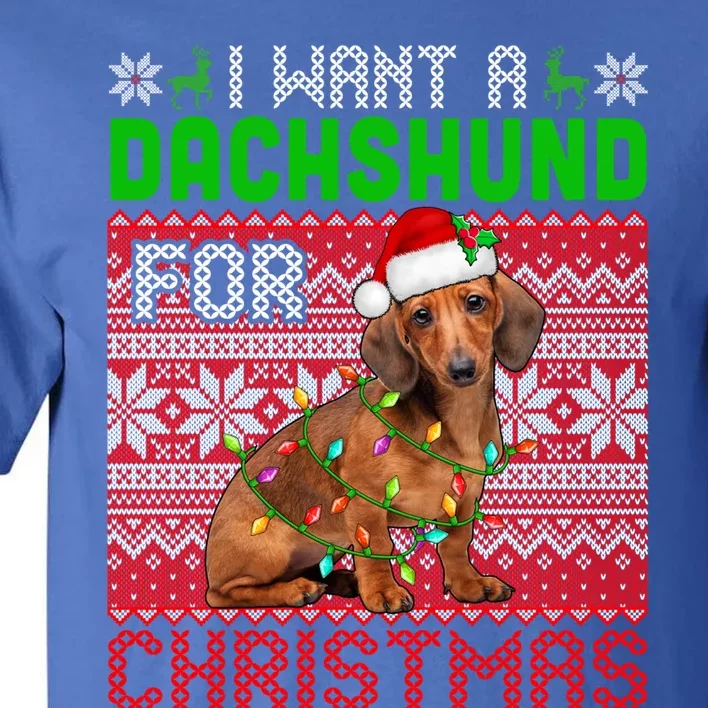 I Want A Dachshund For Christmas Santa Dog Lover Owner Gift Tall T-Shirt