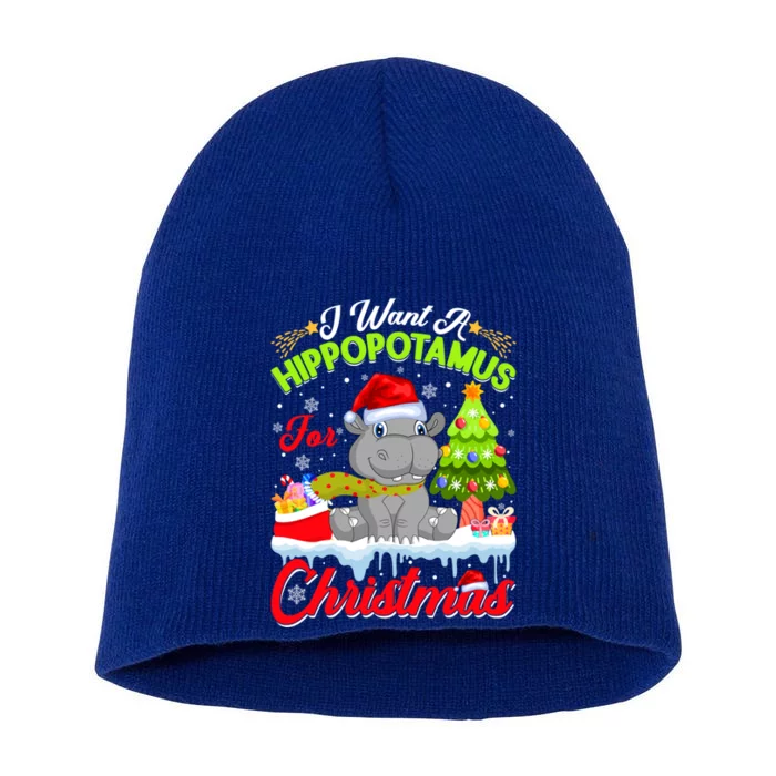 I Want A Hippopotamus For Christmas Cute Xmas Hippo Gift Short Acrylic Beanie