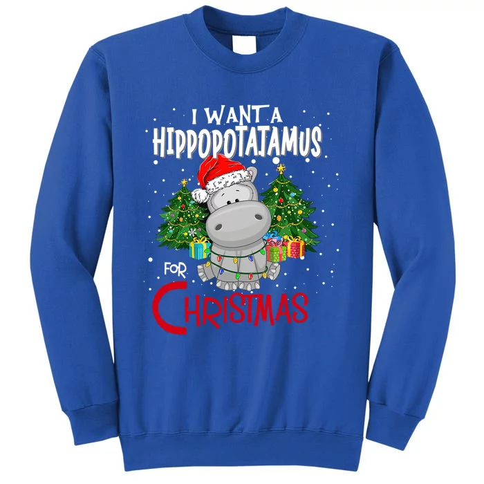 I Want A Hippopotamus For Christmas Santa Hat Fun Xmas Hippo Great Gift Sweatshirt