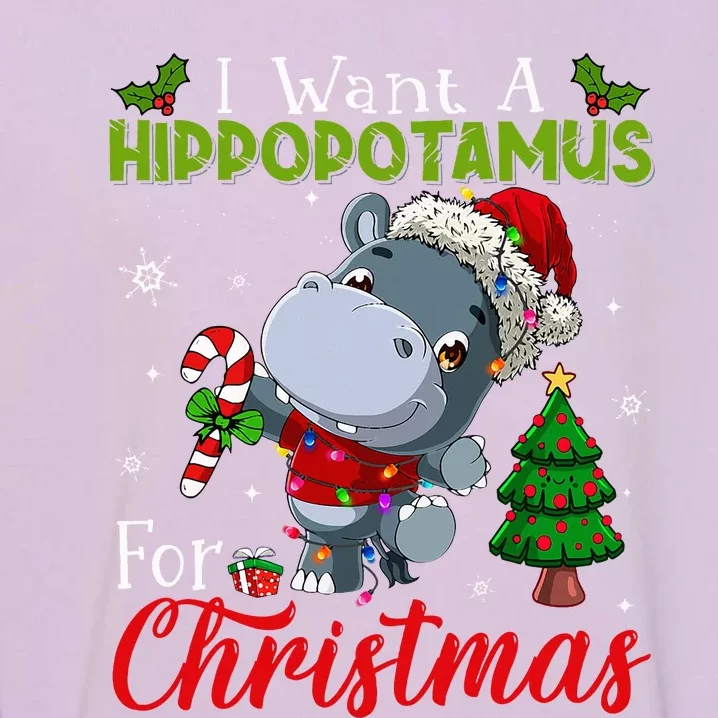 I Want A Hippopotamus For Christmas Hippo Candy Santa Garment-Dyed Sweatshirt