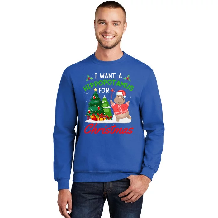 I Want A Hippopotamus For Christmas For Xmas Hippo Meaningful Gift Sweatshirt