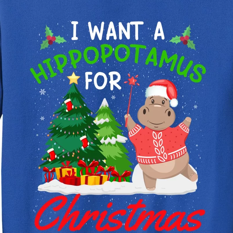 I Want A Hippopotamus For Christmas For Xmas Hippo Meaningful Gift Sweatshirt