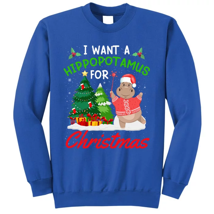 I Want A Hippopotamus For Christmas For Xmas Hippo Meaningful Gift Sweatshirt