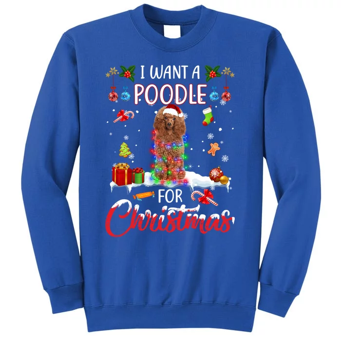 I Want A Poodle For Christmas Xmas Lights Santa Poodle Funny Gift Sweatshirt