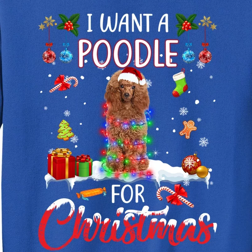 I Want A Poodle For Christmas Xmas Lights Santa Poodle Funny Gift Tall Sweatshirt