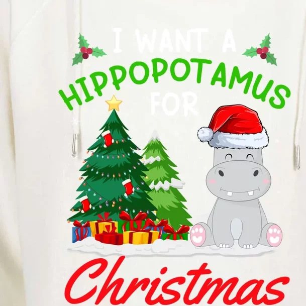 I Want A Hippopotamus For Christmas For Xmas Hippo Gift Womens Funnel Neck Pullover Hood