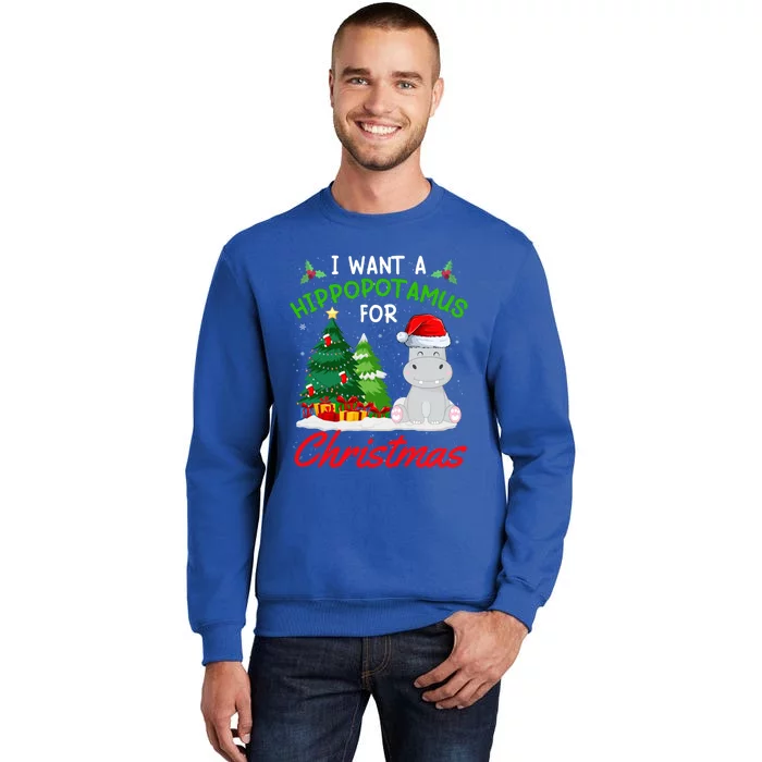 I Want A Hippopotamus For Christmas For Xmas Hippo Gift Tall Sweatshirt