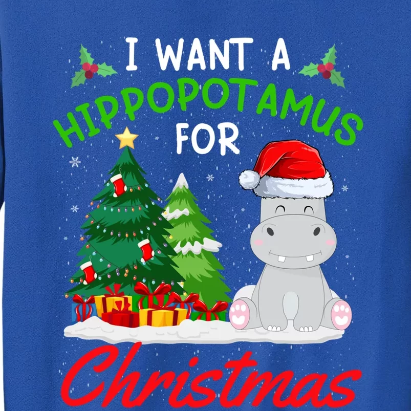 I Want A Hippopotamus For Christmas For Xmas Hippo Gift Tall Sweatshirt