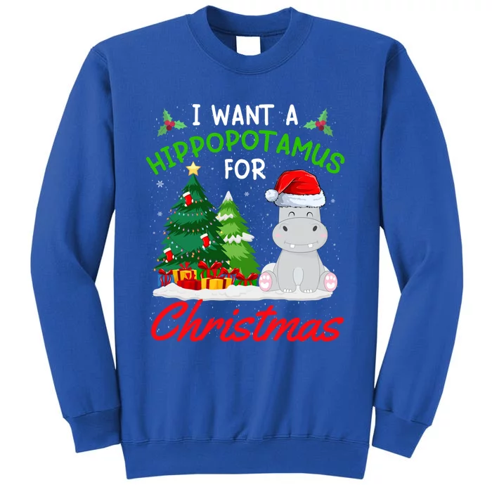 I Want A Hippopotamus For Christmas For Xmas Hippo Gift Tall Sweatshirt