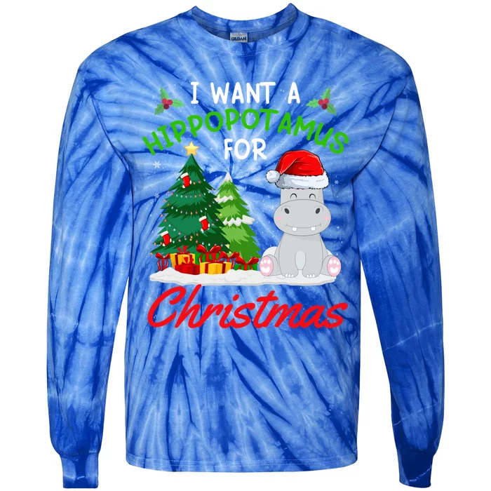 I Want A Hippopotamus For Christmas For Xmas Hippo Gift Tie-Dye Long Sleeve Shirt